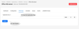 It will then jump to the OTAA keys page. Input the Application Key of the sensor and click Submit.