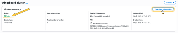 MSK集群切换到 "<b>Active</b>" 状态后，导航至 "<b>Details</b>" 并点击 "<b>View client information</b>"。