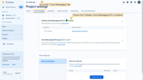 在"Project settings"页面中，切换到"Cloud Messaging"选项卡。此处确保启用Firebase Cloud Messaging API以使用消息功能；