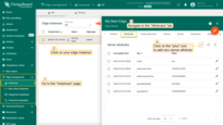 Go to the <b>Edge management > Instances</b> section, click on your edge instance to open the <b>"Edge details"</b> window, and navigate to the <b>"Attributes"</b> tab. Click the <b>"plus"</b> button to add a new <b>server attribute</b> to the Edge.