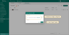 In the "Import image" window, upload a JSON image file and click "Import";