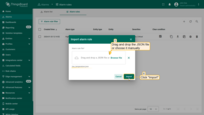 在导入对话框中拖放 JSON 文件或手动选择。点击<b>Import</b>上传配置。