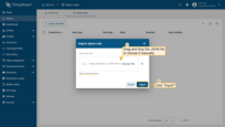 在导入对话框中拖放JSON文件或手动选择，点击<b>Import</b>上传配置。