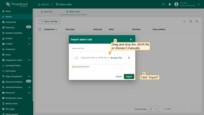 - 在导入对话框中拖放 JSON 文件或手动选择。<br>- 点击 <b>导入</b> 上传配置。