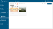 若使用网格视图，将鼠标悬停在要导出的图片上并点击“Download image”图标。图片文件将保存到本地。