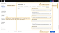 在"Advanced Settings"部分，您将能够找到OAuth2.0配置所需的所有URL（端点）。点击"Save Changes"按钮。